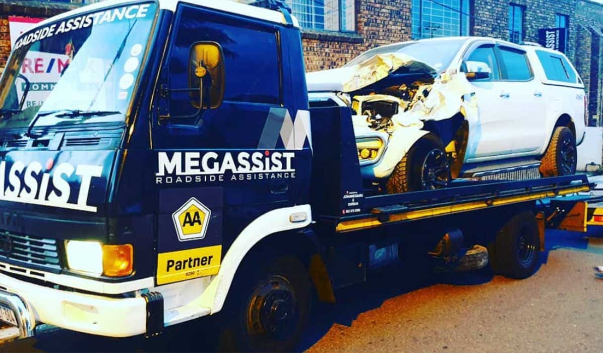 Megassist