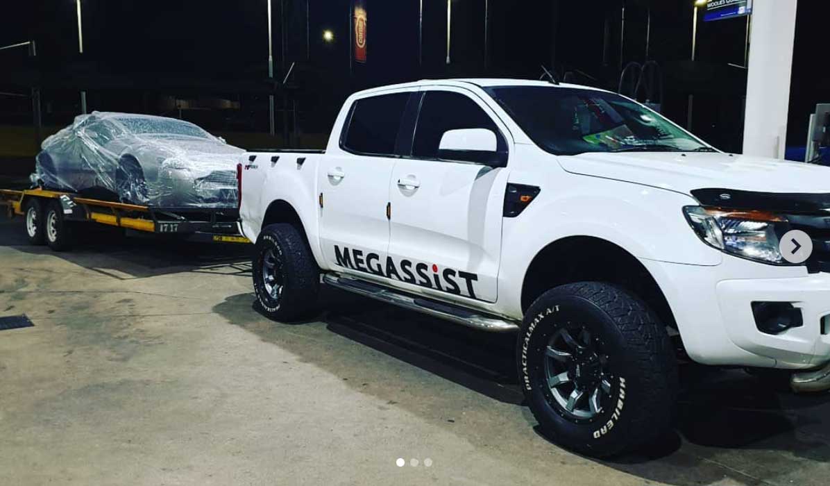 Megassist