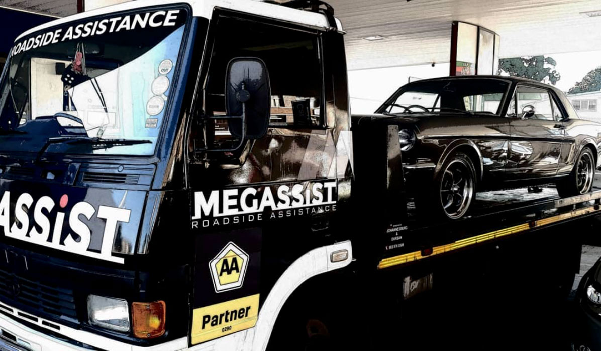 Megassist