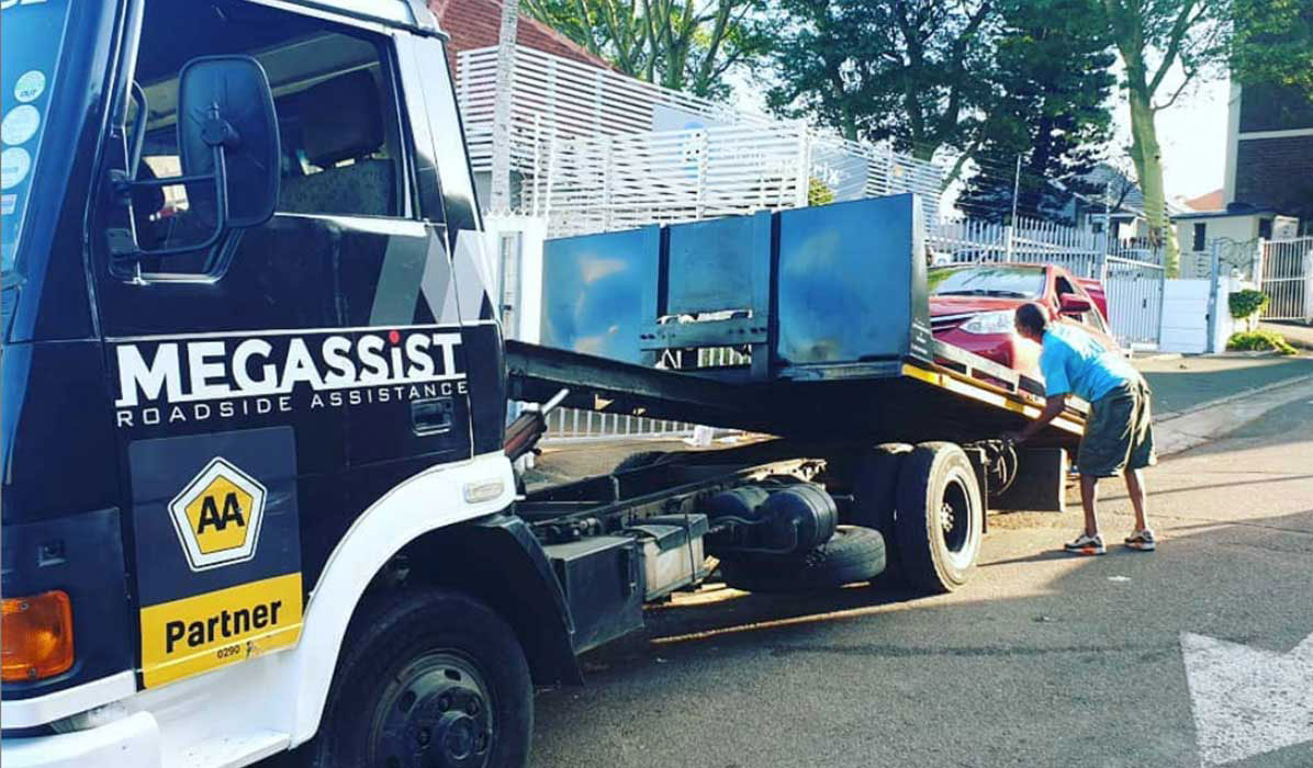 Megassist